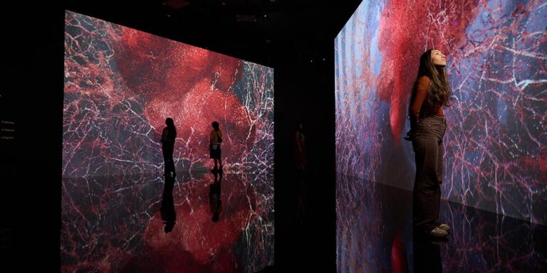 Northwestern University in Qatar’s Media Majlis Museum, in partnership with ACMI, announces ‘All That Is Unseen’ by Marshmallow Laser Feast — the acclaimed artist collective’s firs Northwestern University in Qatar's Media Majlis Museum, in partnership with ACMI, announces 'All That Is Unseen' by Marshm...