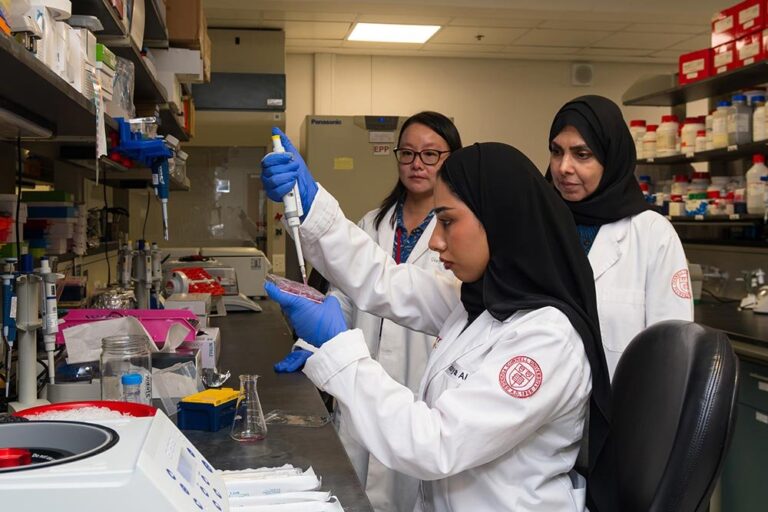 32 WCM-Q medical students complete summer research projects in Qatar, US and UK 32 WCM-Q medical students complete summer research projects in Qatar, US and UK - wcm-q medical